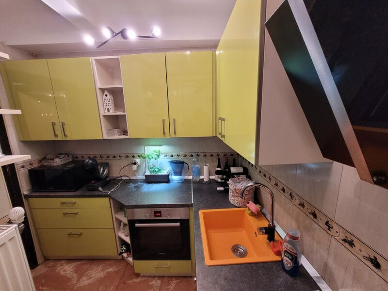 Corneliu Coposu la OMV 3 Camere